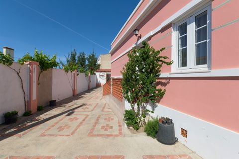Villa i Santiago do Cacem, Setubal, Santiago do Cacem - € 395.000 | Ref: 281601106 - foto 24