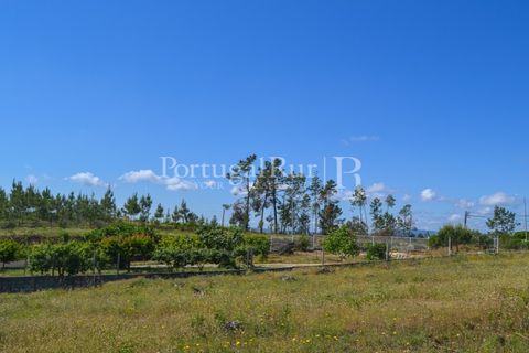 Terra em Proenca-a-Nova, Castelo Branco, Proenca-a-Nova - € 29.000 | Ref: SA10 - foto 2