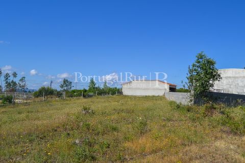 Terra em Proenca-a-Nova, Castelo Branco, Proenca-a-Nova - € 29.000 | Ref: SA10 - foto 3