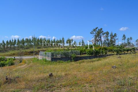 Terra em Proenca-a-Nova, Castelo Branco, Proenca-a-Nova - € 29.000 | Ref: SA10 - foto 4