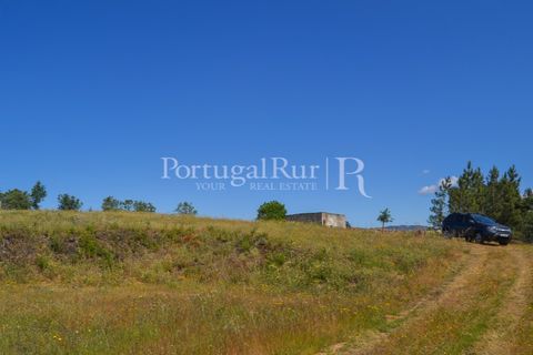 Terra em Proenca-a-Nova, Castelo Branco, Proenca-a-Nova - € 29.000 | Ref: SA10 - foto 5