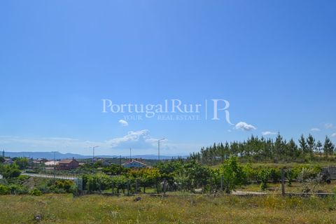 Terra em Proenca-a-Nova, Castelo Branco, Proenca-a-Nova - € 29.000 | Ref: SA10 - foto 6