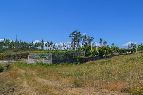 Terra em Proenca-a-Nova, Castelo Branco, Proenca-a-Nova - € 29.000 | Ref: SA10 - foto 7