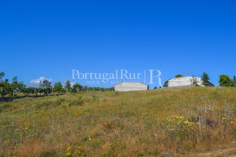 Terra em Proenca-a-Nova, Castelo Branco, Proenca-a-Nova - € 29.000 | Ref: SA10 - foto 8