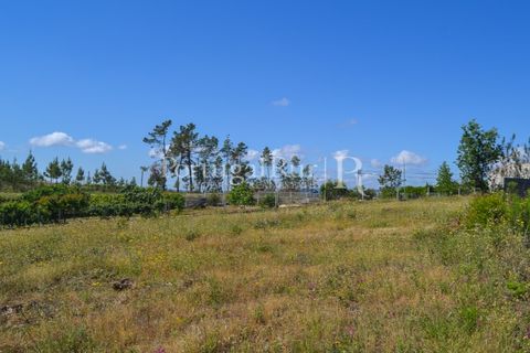 Terra em Proenca-a-Nova, Castelo Branco, Proenca-a-Nova - € 29.000 | Ref: SA10 - foto 9