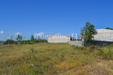 Terra em Proenca-a-Nova, Castelo Branco, Proenca-a-Nova - € 29.000 | Ref: SA10 - foto 10
