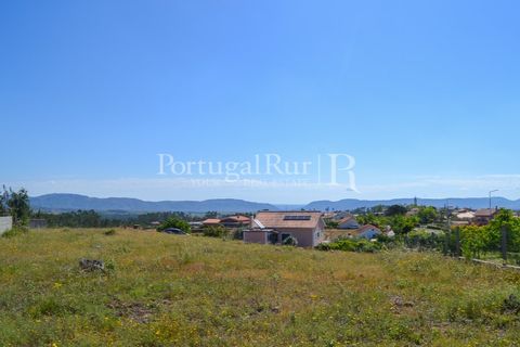 Terra em Proenca-a-Nova, Castelo Branco, Proenca-a-Nova - € 29.000 | Ref: SA10 - foto 12