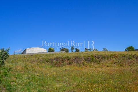 Terra em Proenca-a-Nova, Castelo Branco, Proenca-a-Nova - € 29.000 | Ref: SA10 - foto 13