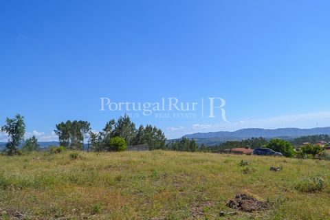 Terra em Proenca-a-Nova, Castelo Branco, Proenca-a-Nova - € 29.000 | Ref: SA10 - foto 14