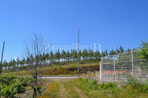 Terra em Proenca-a-Nova, Castelo Branco, Proenca-a-Nova - € 29.000 | Ref: SA10 - foto 15