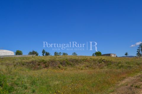 Terra em Proenca-a-Nova, Castelo Branco, Proenca-a-Nova - € 29.000 | Ref: SA10 - foto 16