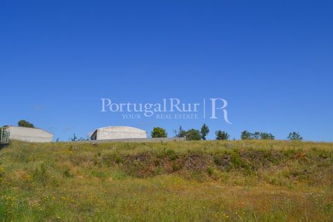 Terra em Proenca-a-Nova, Castelo Branco, Proenca-a-Nova - € 29.000 | Ref: SA10 - foto 17