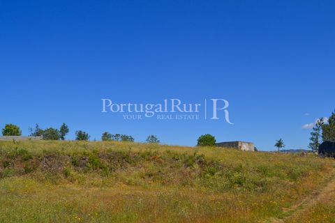 Terra em Proenca-a-Nova, Castelo Branco, Proenca-a-Nova - € 29.000 | Ref: SA10 - foto 18
