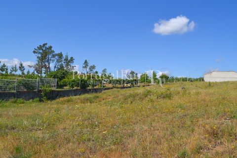 Terra em Proenca-a-Nova, Castelo Branco, Proenca-a-Nova - € 29.000 | Ref: SA10 - foto 19