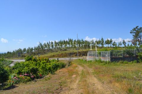 Terra em Proenca-a-Nova, Castelo Branco, Proenca-a-Nova - € 29.000 | Ref: SA10 - foto 20