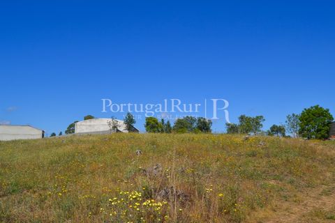 Terra em Proenca-a-Nova, Castelo Branco, Proenca-a-Nova - € 29.000 | Ref: SA10 - foto 21