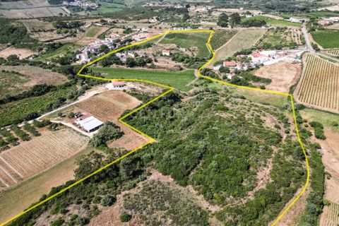 Farm hus i Alenquer, Lisbon, Alenquer - € 690.000 | Ref: C0364-05919 - foto 10