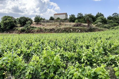 Farm hus i Alenquer, Lisbon, Alenquer - € 690.000 | Ref: C0364-05919 - foto 45