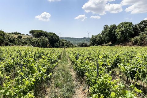 Farm hus i Alenquer, Lisbon, Alenquer - € 690.000 | Ref: C0364-05919 - foto 46