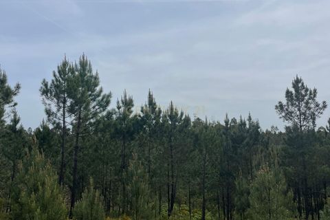 Helårsgrund i Abrantes, Santarem, Abrantes - € 48.000 | Ref: C0364-05929 - foto 2