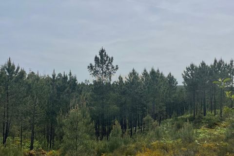 Helårsgrund i Abrantes, Santarem, Abrantes - € 48.000 | Ref: C0364-05929 - foto 3