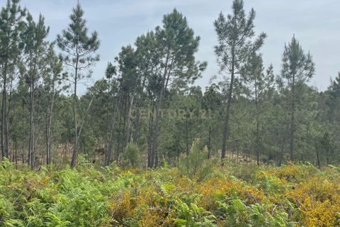 Helårsgrund i Abrantes, Santarem, Abrantes - € 48.000 | Ref: C0364-05929 - foto 4