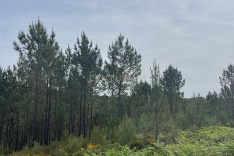 Helårsgrund i Abrantes, Santarem, Abrantes - € 48.000 | Ref: C0364-05929 - foto 5