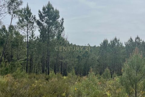 Helårsgrund i Abrantes, Santarem, Abrantes - € 48.000 | Ref: C0364-05929 - foto 7
