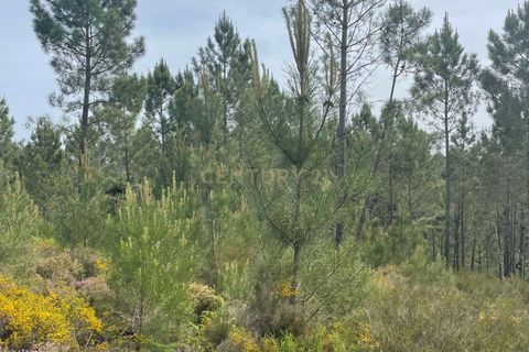Helårsgrund i Abrantes, Santarem, Abrantes - € 48.000 | Ref: C0364-05929 - foto 8