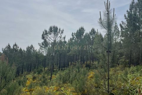 Helårsgrund i Abrantes, Santarem, Abrantes - € 48.000 | Ref: C0364-05929 - foto 9