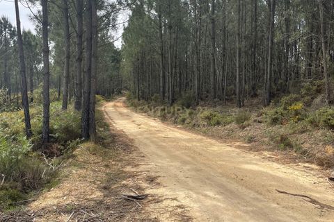 Helårsgrund i Abrantes, Santarem, Abrantes - € 48.000 | Ref: C0364-05929 - foto 10