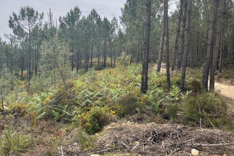 Helårsgrund i Abrantes, Santarem, Abrantes - € 48.000 | Ref: C0364-05929 - foto 11