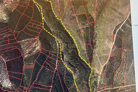 Helårsgrund i Abrantes, Santarem, Abrantes - € 48.000 | Ref: C0364-05929 - foto 12