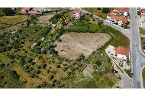 Terra a Alcains, Castelo Branco, Alcains - € 75.000 | Ref: TER_195 - foto 2