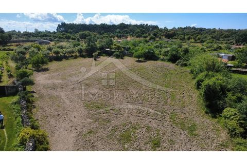 Terra a Alcains, Castelo Branco, Alcains - € 75.000 | Ref: TER_195 - foto 4