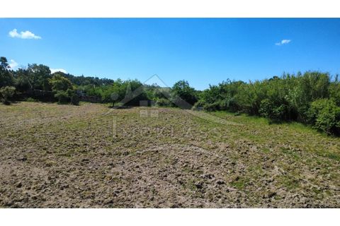 Terra a Alcains, Castelo Branco, Alcains - € 75.000 | Ref: TER_195 - foto 6