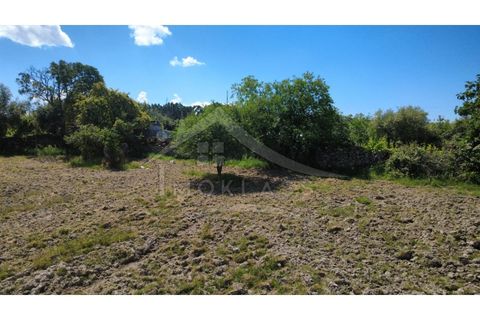 Terra a Alcains, Castelo Branco, Alcains - € 75.000 | Ref: TER_195 - foto 8