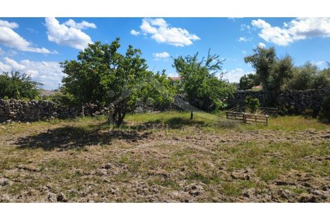 Terra a Alcains, Castelo Branco, Alcains - € 75.000 | Ref: TER_195 - foto 9