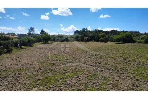 Terra a Alcains, Castelo Branco, Alcains - € 75.000 | Ref: TER_195 - foto 11
