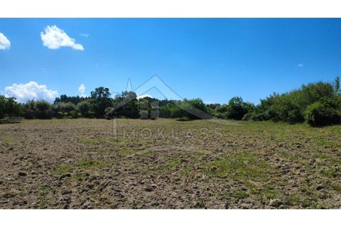 Terra a Alcains, Castelo Branco, Alcains - € 75.000 | Ref: TER_195 - foto 13