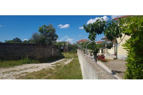 Terra a Alcains, Castelo Branco, Alcains - € 75.000 | Ref: TER_195 - foto 18