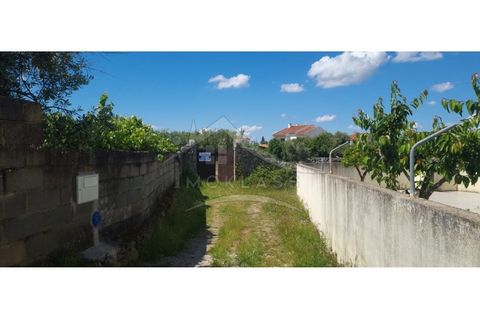 Terra a Alcains, Castelo Branco, Alcains - € 75.000 | Ref: TER_195 - foto 19