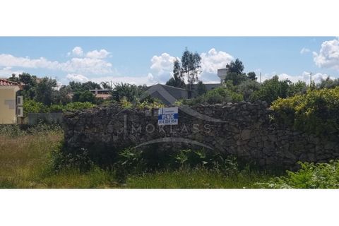 Terra a Alcains, Castelo Branco, Alcains - € 75.000 | Ref: TER_195 - foto 22