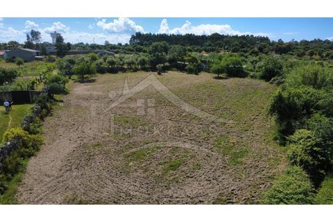 Terra a Alcains, Castelo Branco, Alcains - € 75.000 | Ref: TER_195 - foto 27