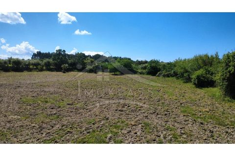 Terra a Alcains, Castelo Branco, Alcains - € 75.000 | Ref: TER_195 - foto 28