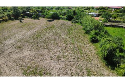 Terra a Alcains, Castelo Branco, Alcains - € 75.000 | Ref: TER_195 - foto 33