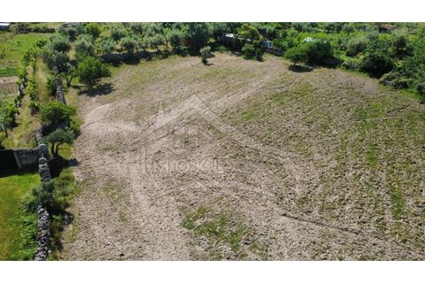 Terra a Alcains, Castelo Branco, Alcains - € 75.000 | Ref: TER_195 - foto 34