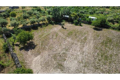 Terra a Alcains, Castelo Branco, Alcains - € 75.000 | Ref: TER_195 - foto 37
