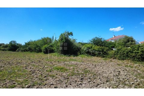 Terra a Alcains, Castelo Branco, Alcains - € 75.000 | Ref: TER_195 - foto 38