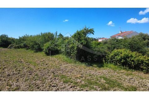 Terra a Alcains, Castelo Branco, Alcains - € 75.000 | Ref: TER_195 - foto 39